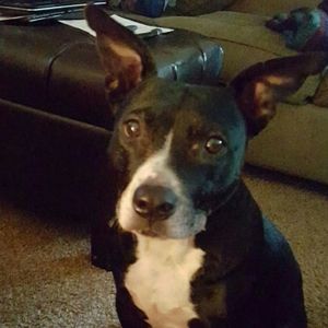 Meet your Posher, Jackie